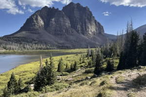 Screenshot 2025-06-18 at 8.37.29 AM